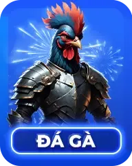 Đá gà S8