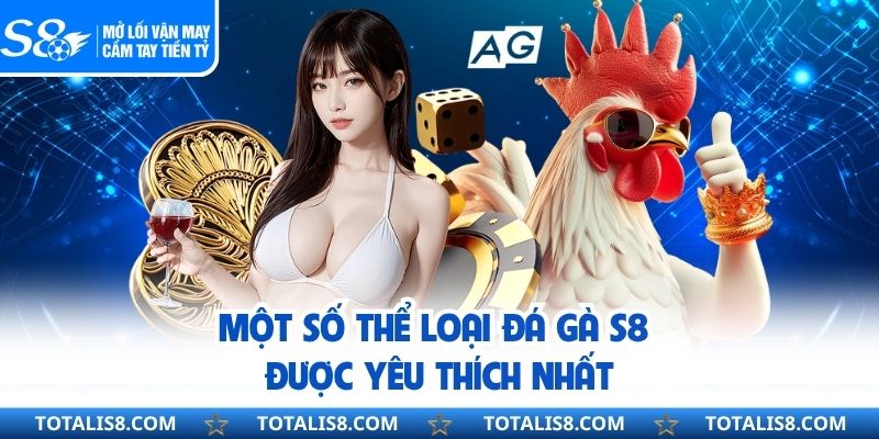 Một số thể loại đá gà S8 được yêu thích nhất
