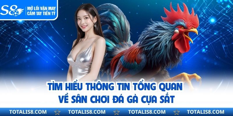 Tìm hiểu thông tin tổng quan về sân chơi đá gà cựa sắt