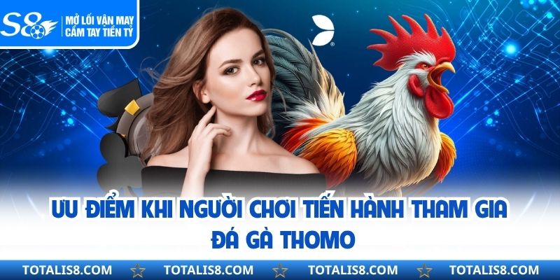 Ưu điểm khi người chơi tiến hành tham gia đá gà thomo